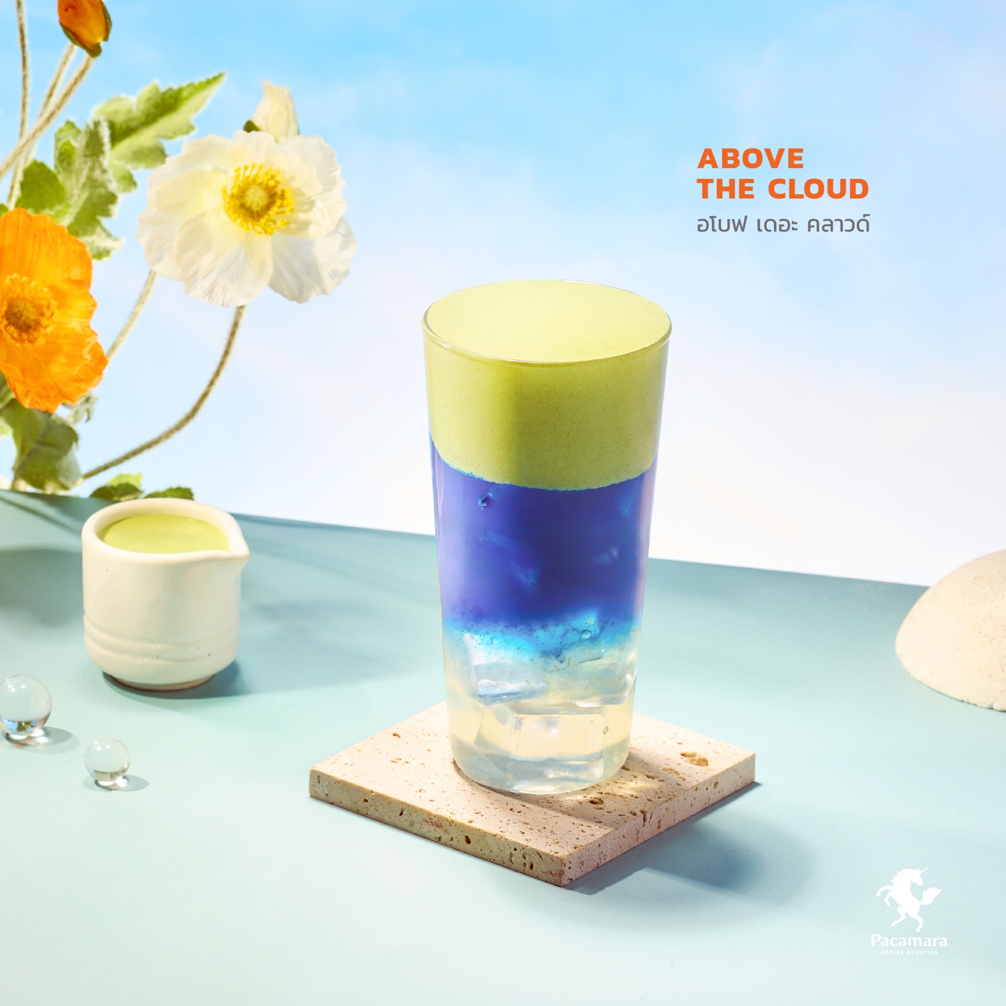 𝐀𝐛𝐨𝐯𝐞 𝐭𝐡𝐞 𝐂𝐥𝐨𝐮𝐝