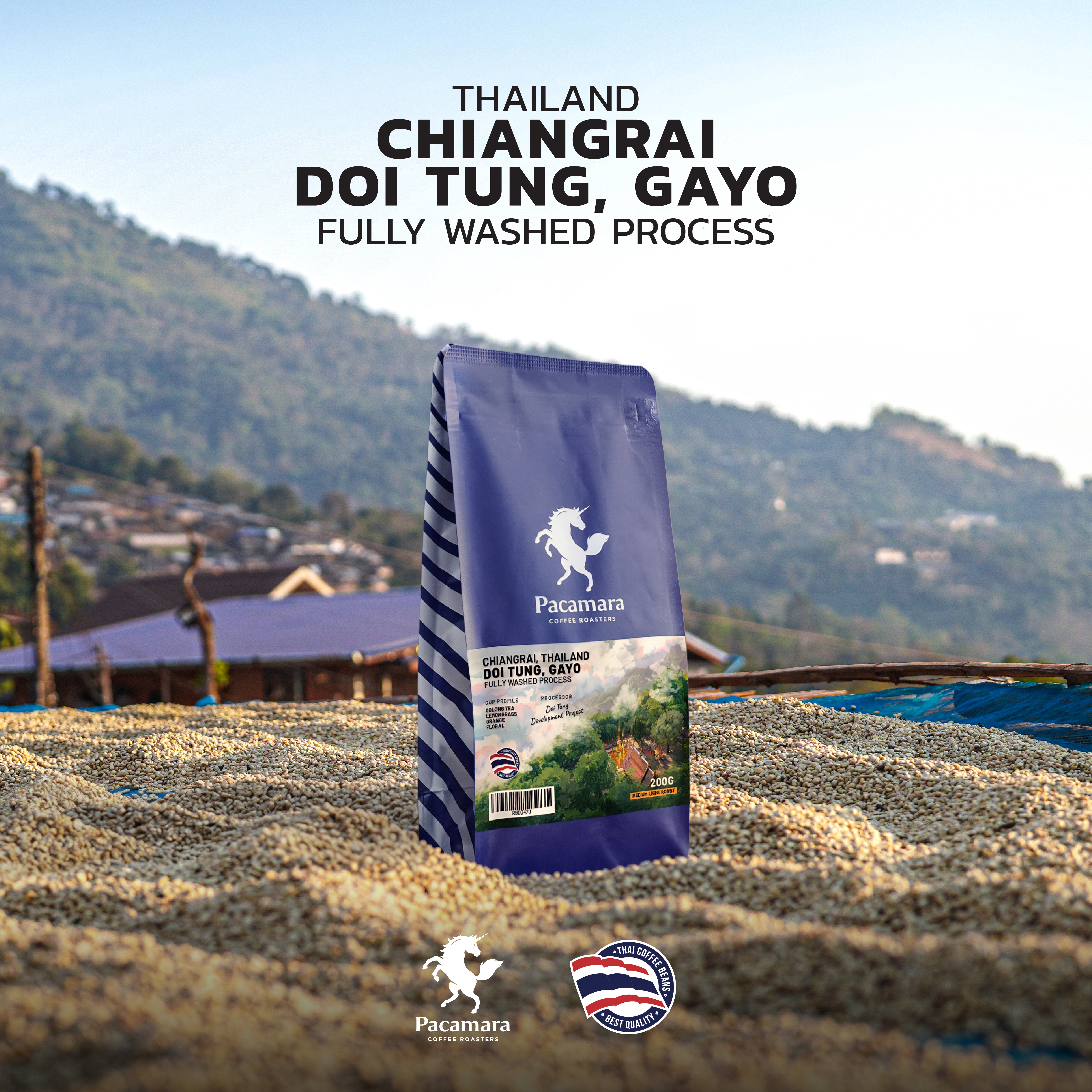 GAYO