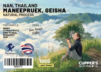 NAN GEISHA