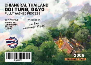 DOI TUNG GAYO