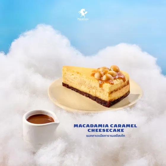 Macadamia Caramel Cheesecake